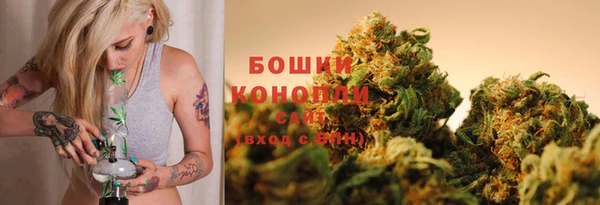 дмт Надым