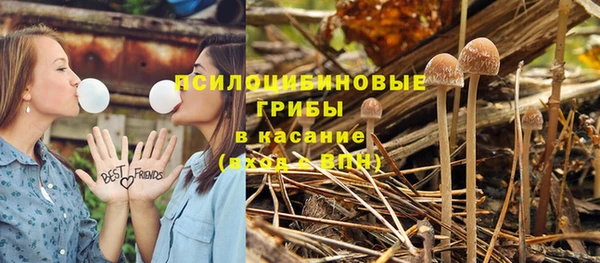 гашишное масло Новодвинск