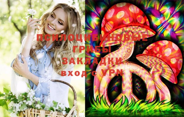 первитин Нея