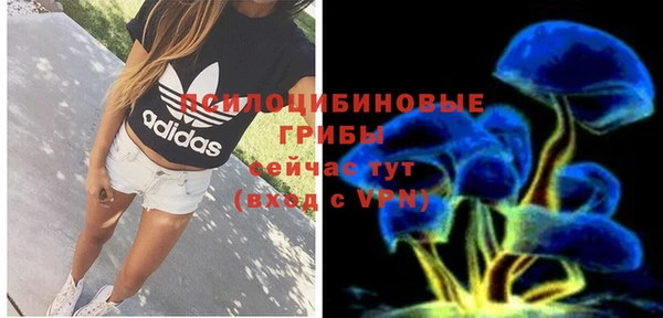 первитин Нея