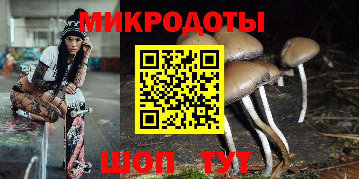 Псилоцибиновые грибы Psilocybe Нижнеудинск