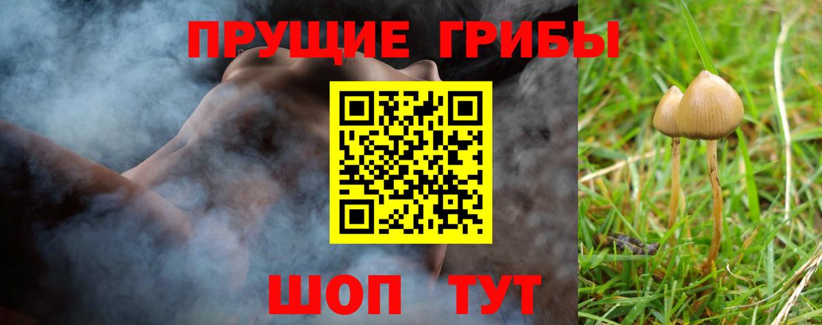 Галлюциногенные грибы прущие грибы  Вход с VPN  Нижнеудинск 